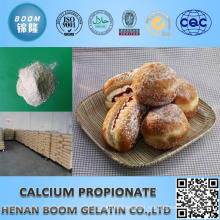 preservatives fcciv/e282 grade calcium propionate